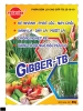 Giiber TB - anh 1