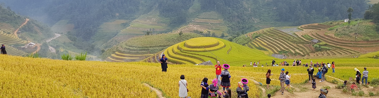 HÒA ĐỒNG CÙNG THIÊN NHIÊN - BÌNH YÊN CHO NÔNG NGHIỆP VIỆT