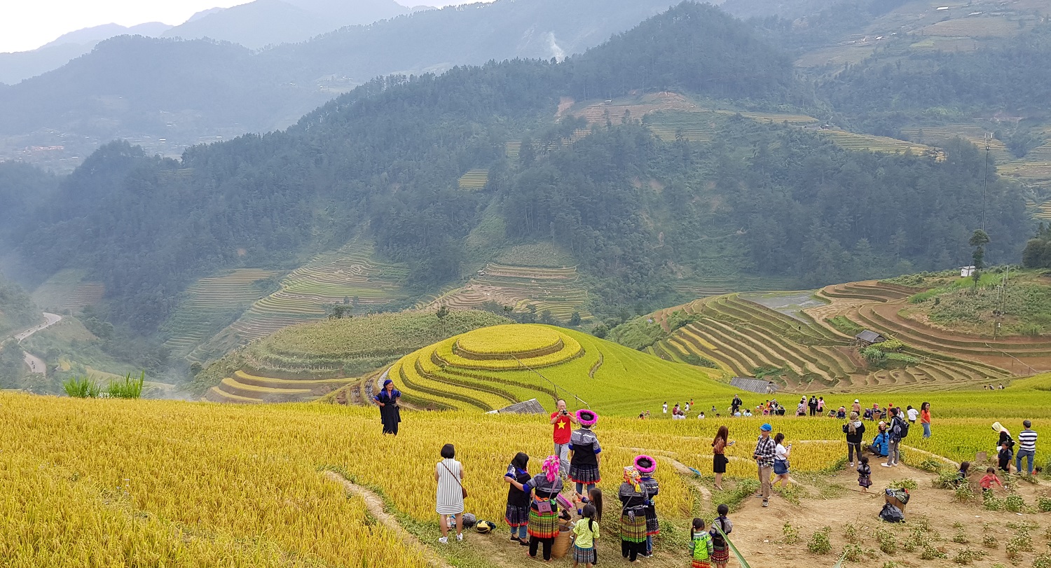 MÙA MÙA BỘI THU - NHÀ NHÀ THỊNH VƯỢNG