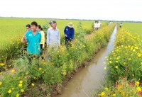 Nông nghiệp thông minh với khí hậu